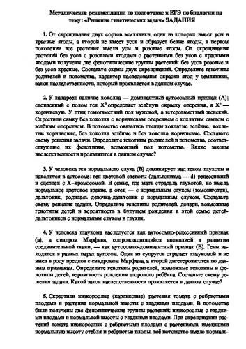 Соединительная ткань: классификация и особенности