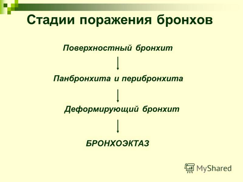 Разновидности бактериального бронхита, причины возникновения, симптомы и способы лечения
