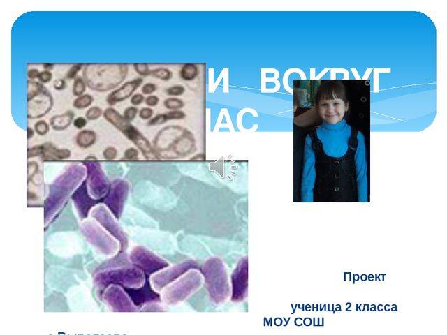 Заболевания, вызываемые бактериями у человека. список, симптомы и лечение