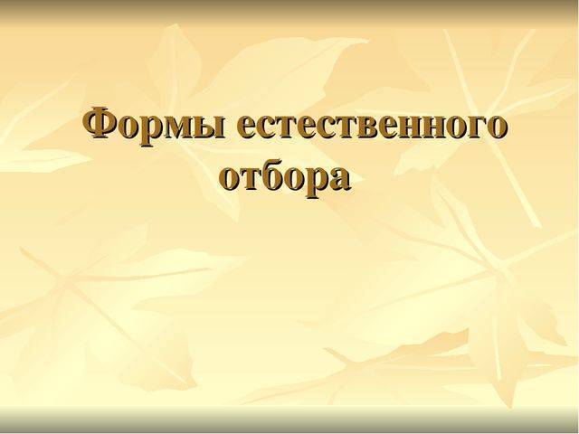 Анаэробные бактерии