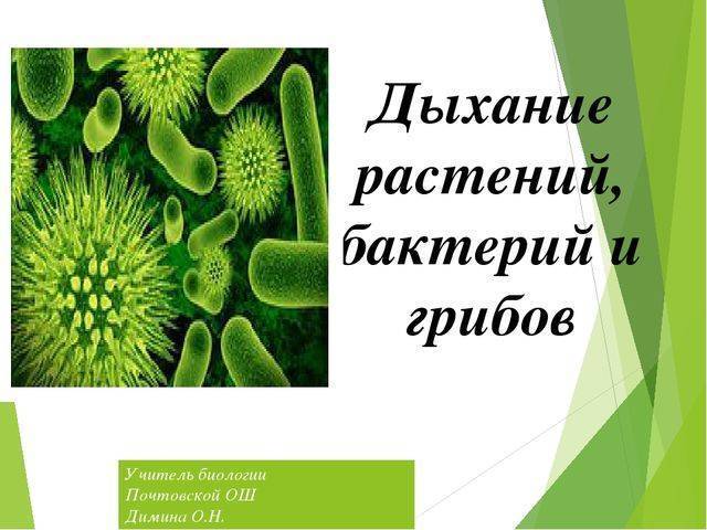 Анаэробные организмы — википедия с видео // wiki 2