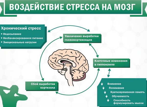 Какая норма гормона стресса кортизол - снижение и повышение