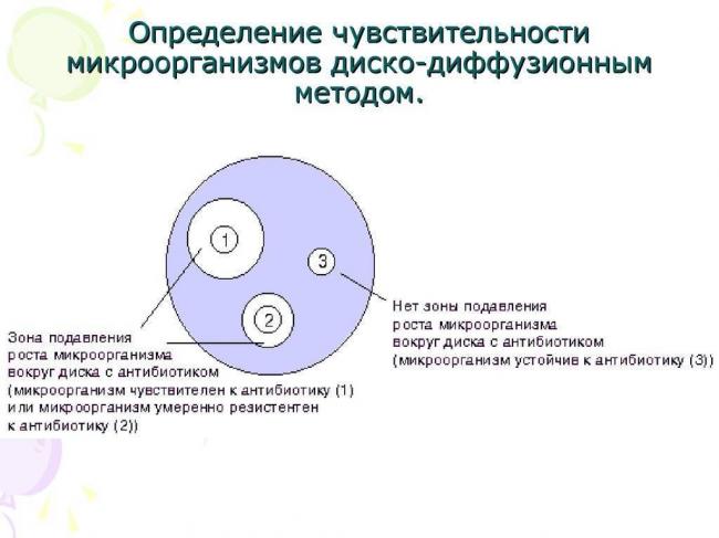 Чувствительность к антибиотикам