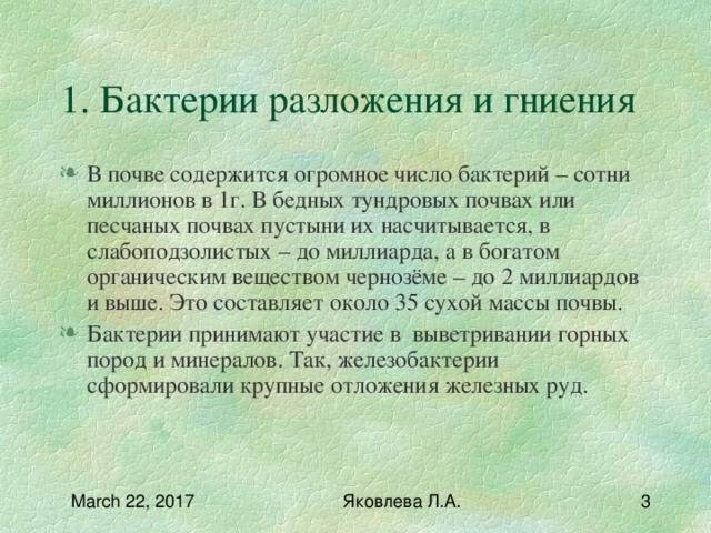 Изучаем родословную бактерий: это животные или растения?