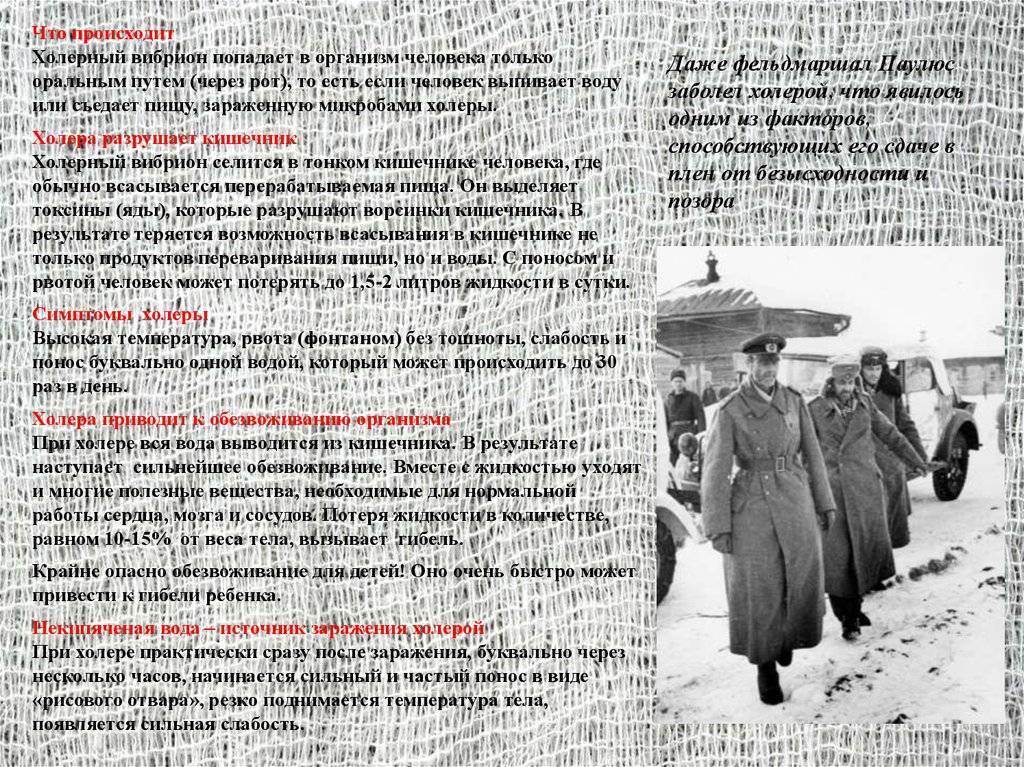 Холера: симптомы, почему возникает и как лечить
