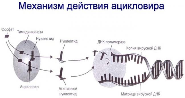 Отзывы о препарате валацикловир