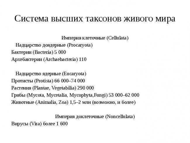 Бактерии анаэробы