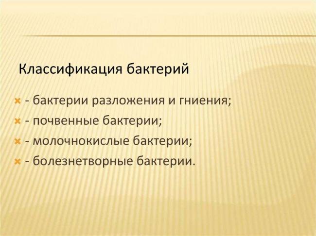 Царства бактерий и грибов: друзья или враги человеку?