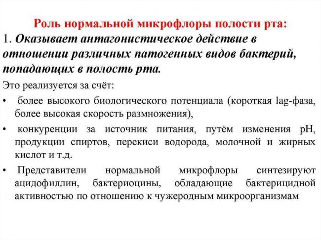 Что делают различные бактерии в нашей жизни