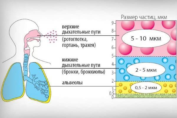 Ингаляции с беродуалом взрослым и детям