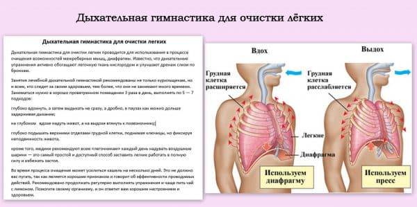 Дыхательная гимнастика и лфк при бронхите: примеры упражнений для взрослых, детей и пожилых людей