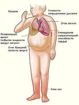 У ребенка кашель.... my-doktor.ru