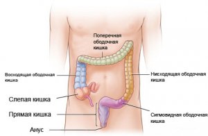Лечебное питание при острых кишечных инфекциях у детей