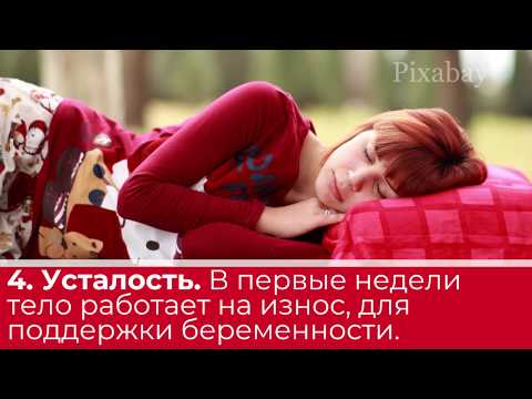 Как отличить пмс от беременности до задержки месячных, во время, на ранних сроках