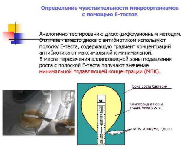 Чувствительность к антибиотикам