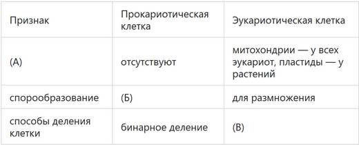 Различные стороны клеточного строения жизни на планете – бактерий, растений и животных
