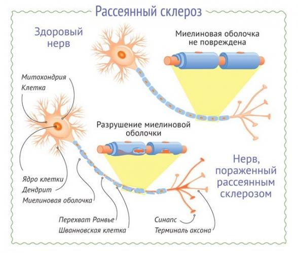 Для чего назначают «нейромидин». инструкция, цены и аналоги