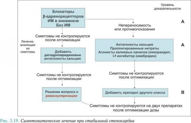 Кальций: не только кости
