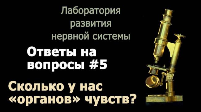 Синдром гийена-барре: причины, признаки, диагностика, как лечить