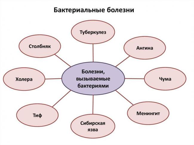 Микробы и микробиология