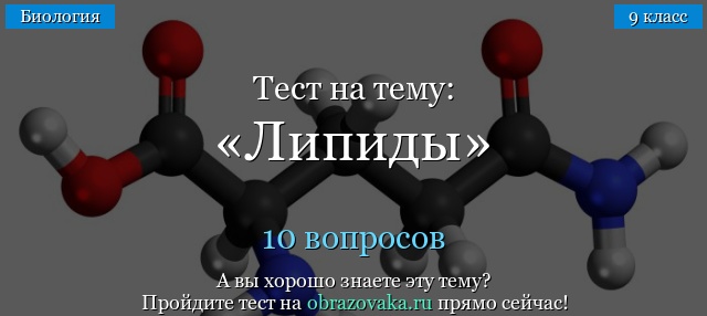 Все про углеводы: виды, значение, источники и функции углеводов в организме человека