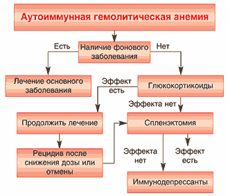 Гемолитическая анемия. причины, симптомы, диагностика и лечение патологии