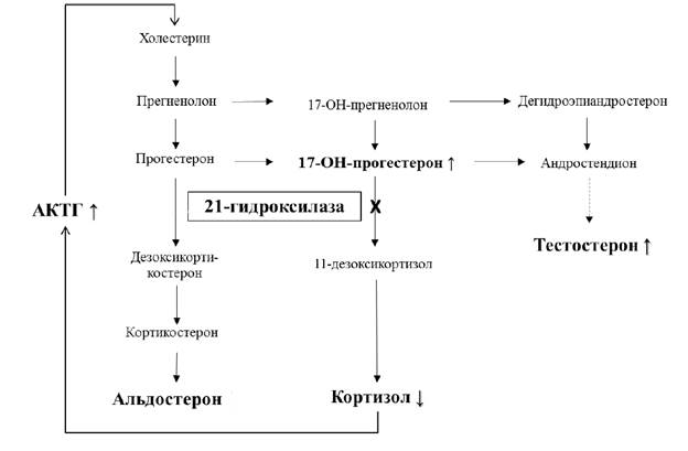 Адреногенитальный синдром