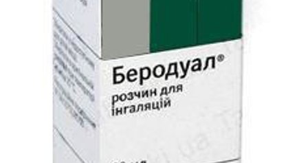 Беродуал аэрозоль для ингаляций: инструкция по применению, цена, отзывы, аналоги