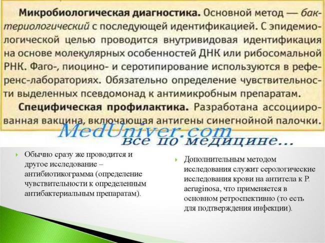 Синегнойная палочка – всё о возбудителе. пути заражения, симптомы и последствия, методы лечения