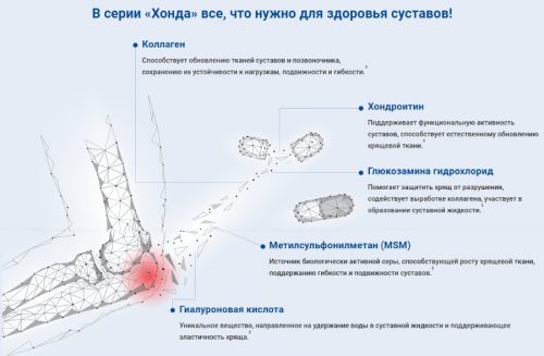 Хонда Эвалар: отзывы, инструкция, стоимость