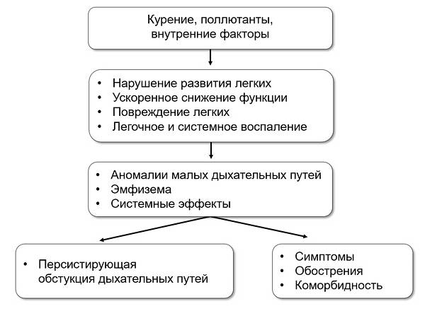 Хобл: развитие, симптомы, стадии и степени тяжести, диагностика, лечение
