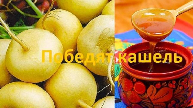 Репа с медом от кашля для детей