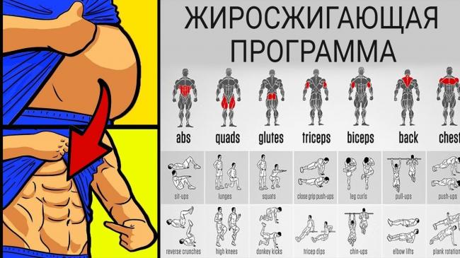 Похудение и «убитый метаболизм»: фитнес-мифы