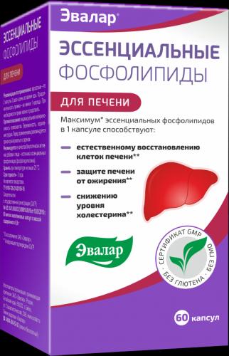 Препараты гепатопротекторы. докопаться до сути