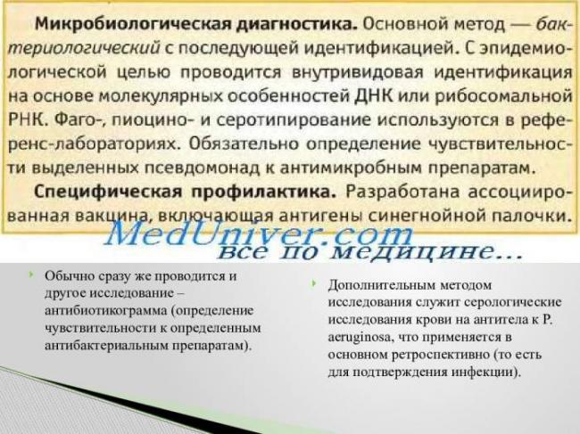 Синегнойная палочка: как передается, лечение