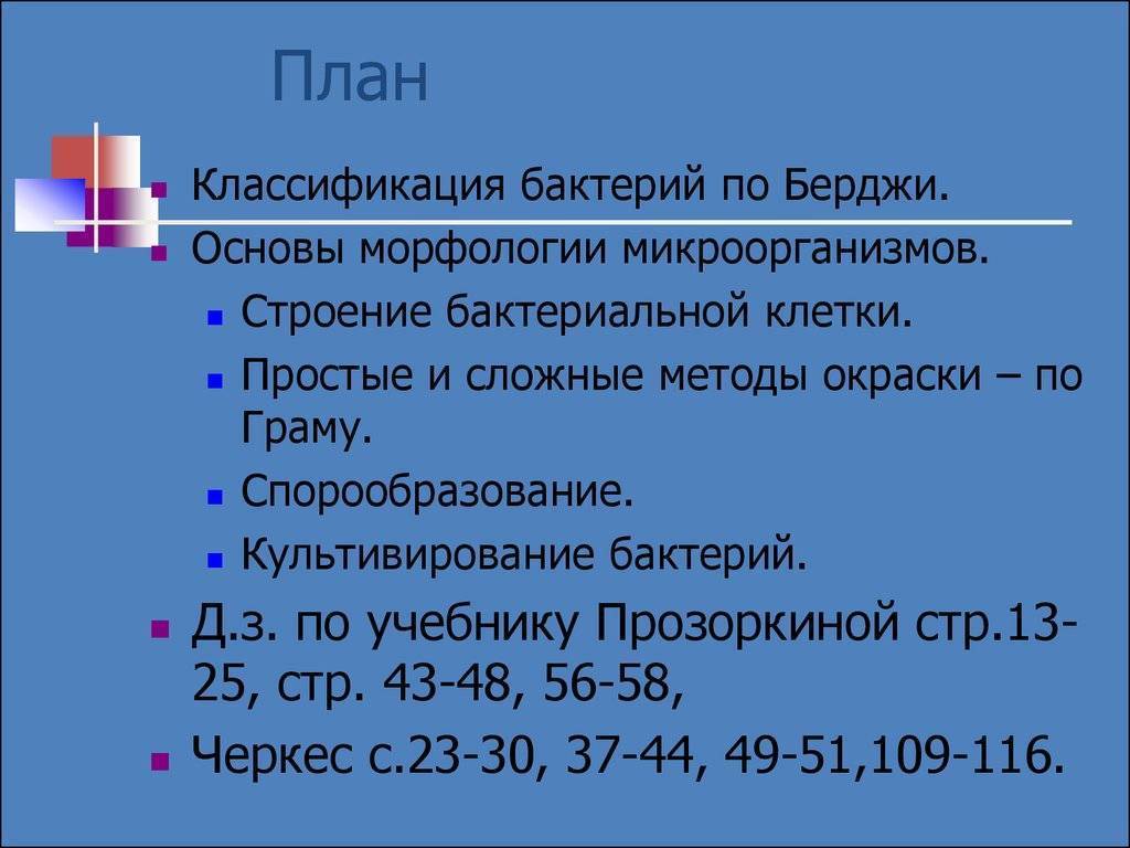 Бактерии – это одноклеточные организмы - 11833-3