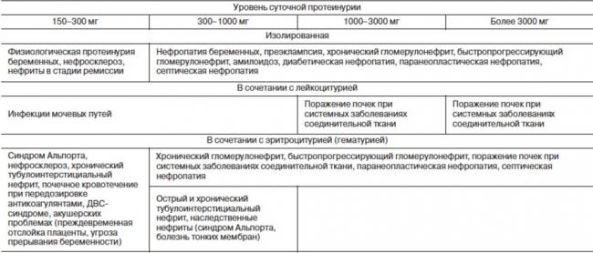 Суточная протеинурия: норма и отклонения