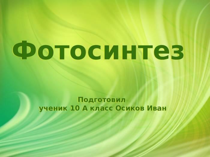 Хлоропласты: роль в процессе фотосинтеза и структура