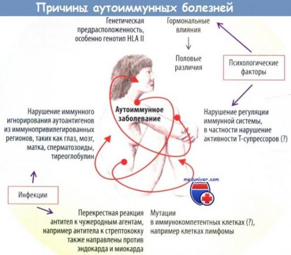Аутоиммунные заболевания: причины, симптомы и лечение аутоиммунных заболеваний