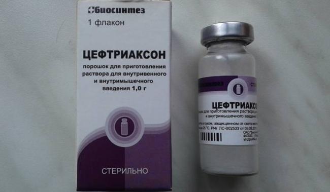 Инструкция по применению лекарственного средства для лечения бактериальных инфекций Кобактан cobactan