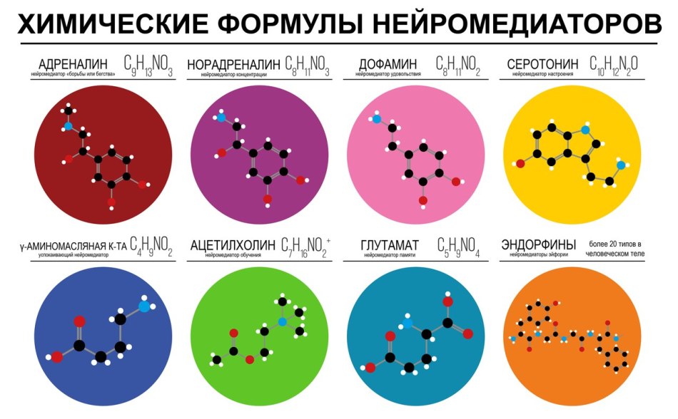 Грелин — sportwiki энциклопедия