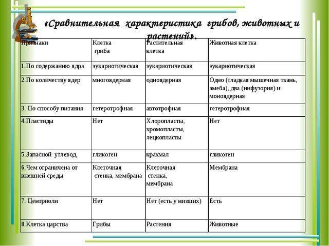 Какие особенности в строении клеток бактерий, животных и растений
