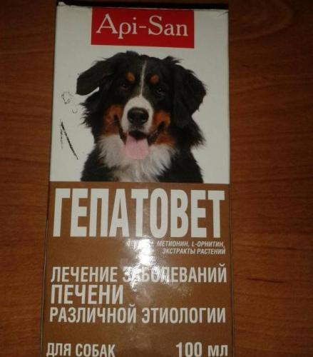 Гепатоджект как применять для домашних животных