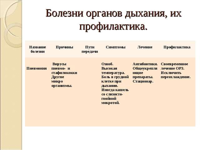 Что важно знать о болезнетворных бактериях, их разновидностях и способах питания