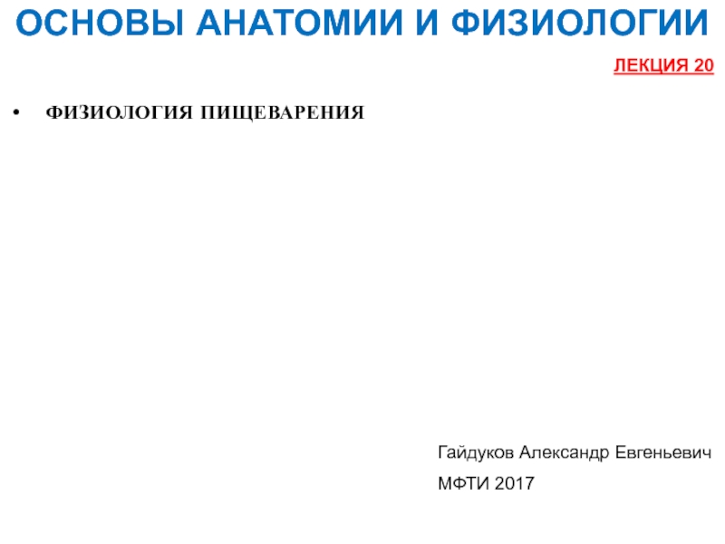 Лучшие продукты для снижения аппетита