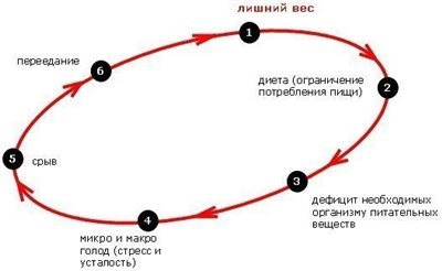 Диета до 15 часов дня отзывы