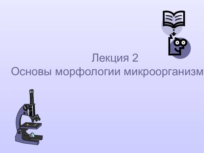 Эти уникальные одноклеточные бактерии