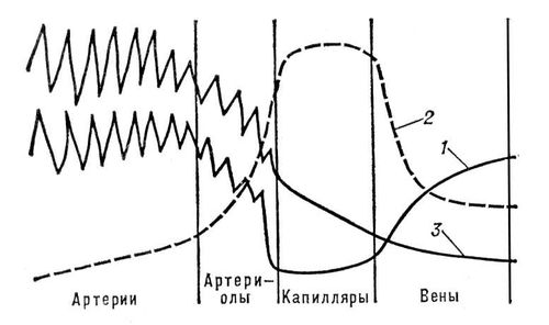 Кровяное давление
