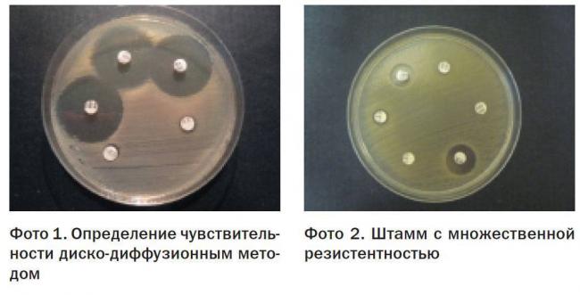 Способы определения чувствительности бактерий к лекарственным препаратам