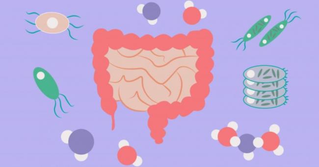 Читать книгу дисбактериоз. самые эффективные методы лечения бориса резника : онлайн чтение - страница 3